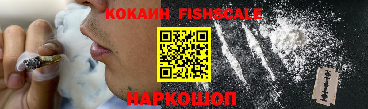 Кокаин Эквадор Тайшет