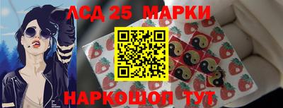 гидропоника Пугачёв