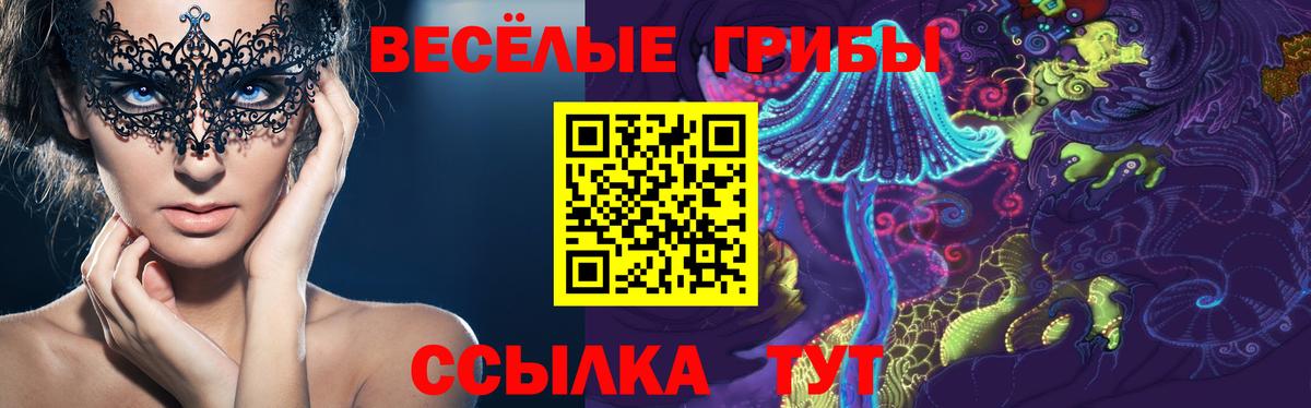 Псилоцибиновые грибы Psilocybe Тайшет